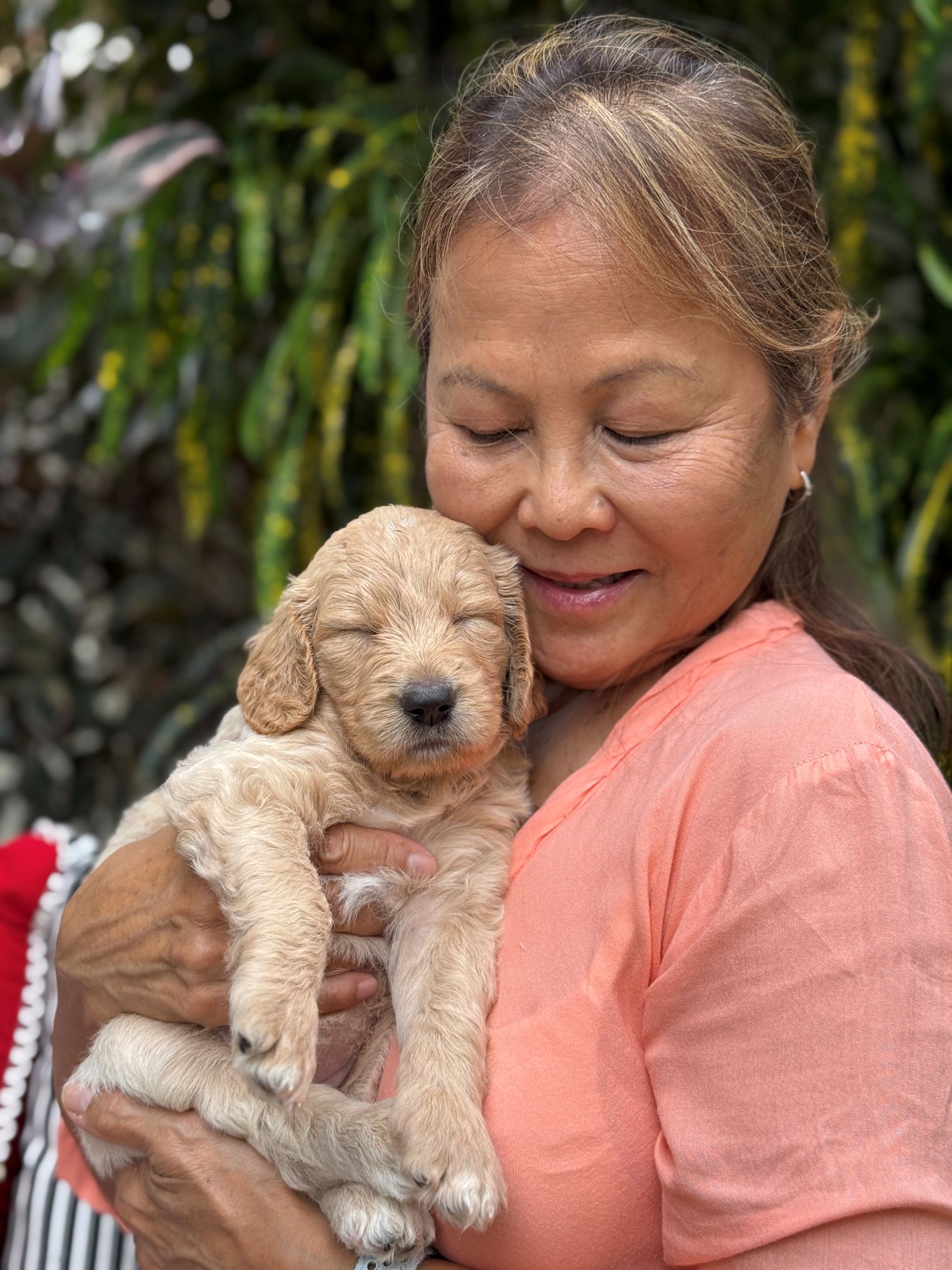 December 2025 litter – All Sold photo 3