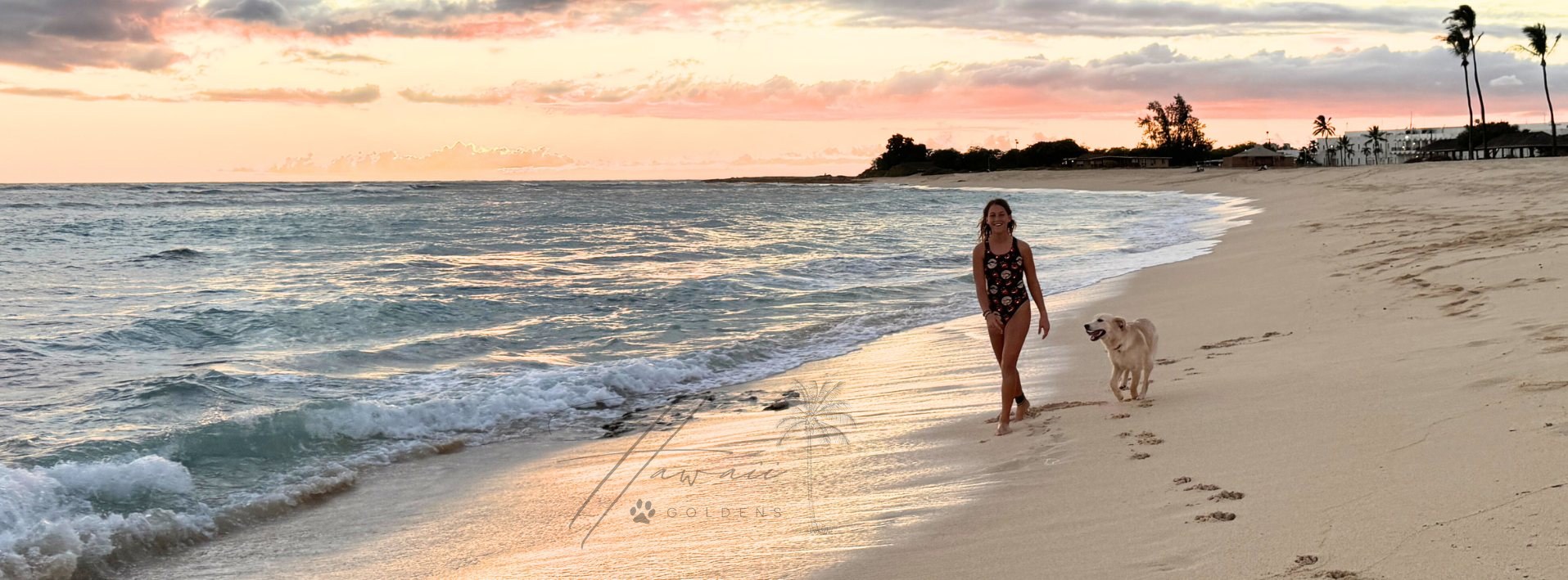 Sunset over an Oʻahu beach with a golden retriever walking at the water's edge